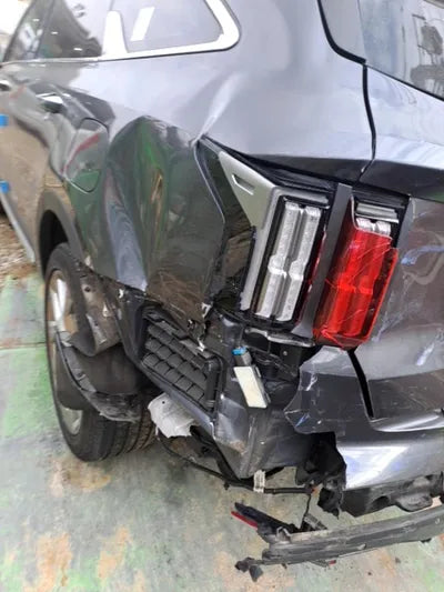 2021 Kia Sorento KNARL81BGMA103199 VIN:KNARL81BGMA103199