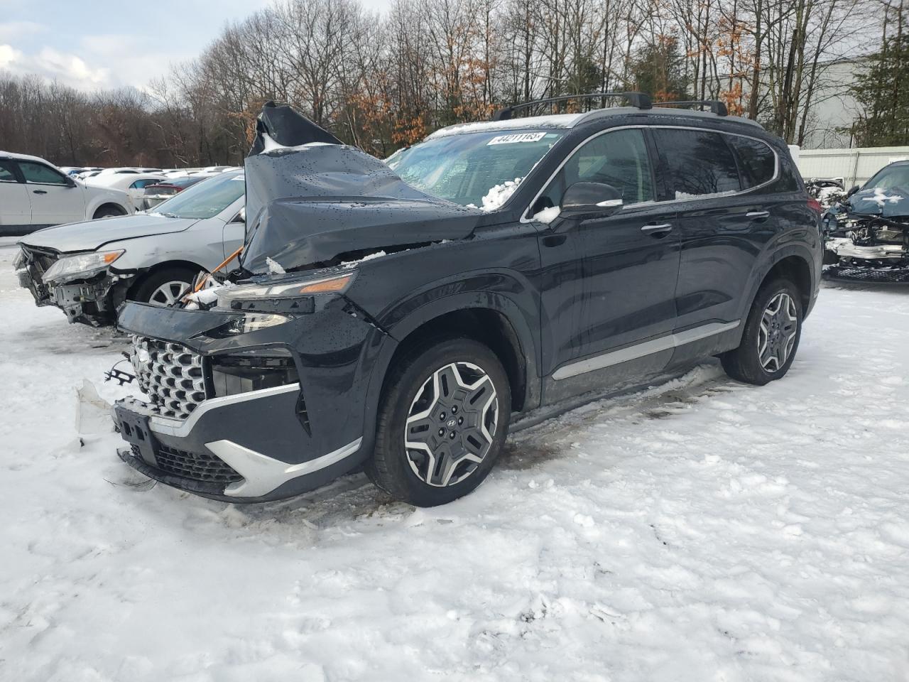 2023 HYUNDAI SANTA FE LIMITED VIN:5NMS5DA10PH013334
