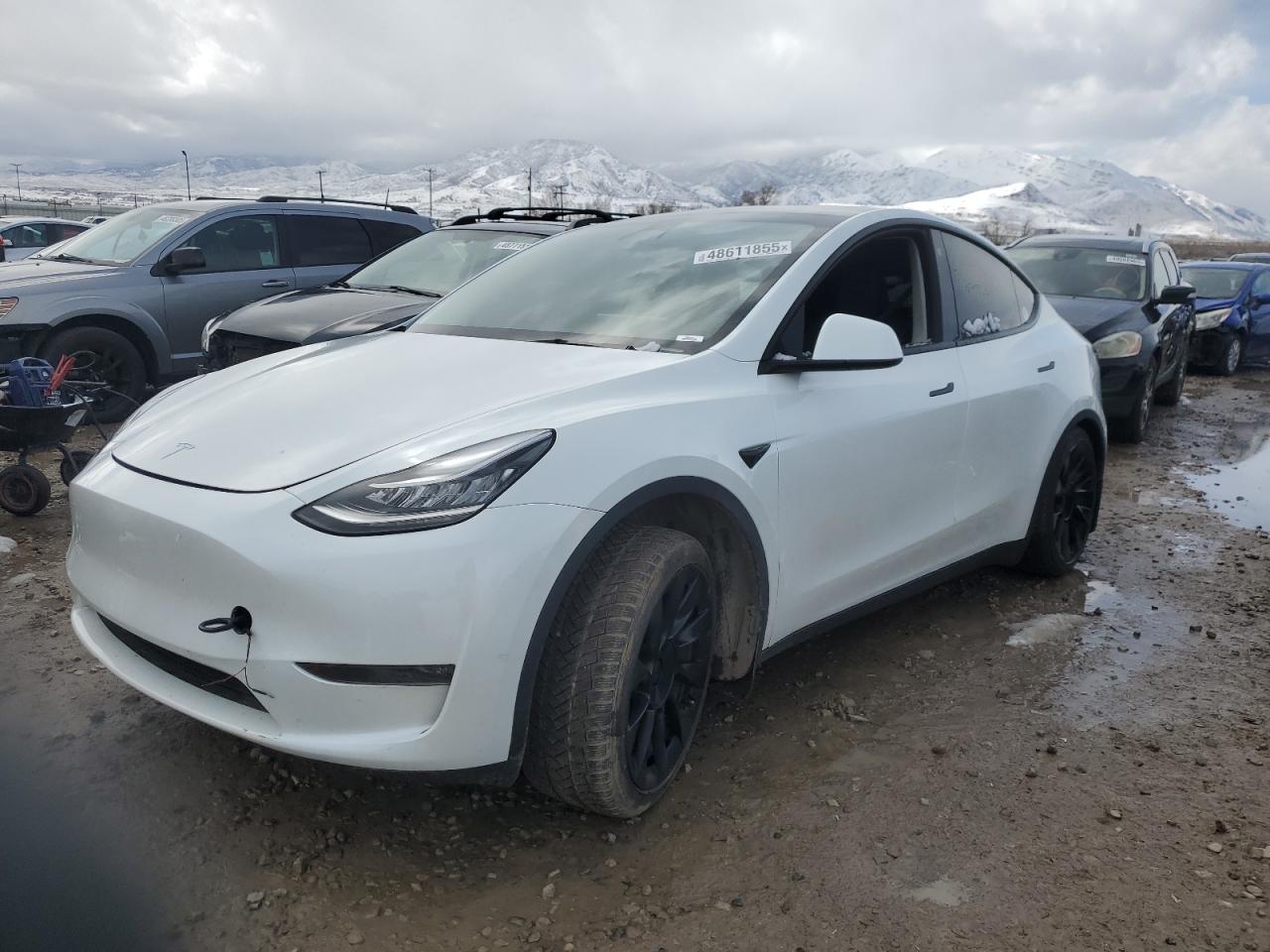 2023 TESLA MODEL Y  VIN:7SAYGDEE0PA025468