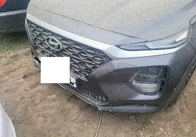 2019 Hyundai Santa FE KMHS281CBKU073882 VIN:KMHS281CBKU073882