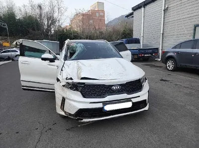 2021 Kia Sorento KNARF81FGMA070589 VIN:KNARF81FGMA070589