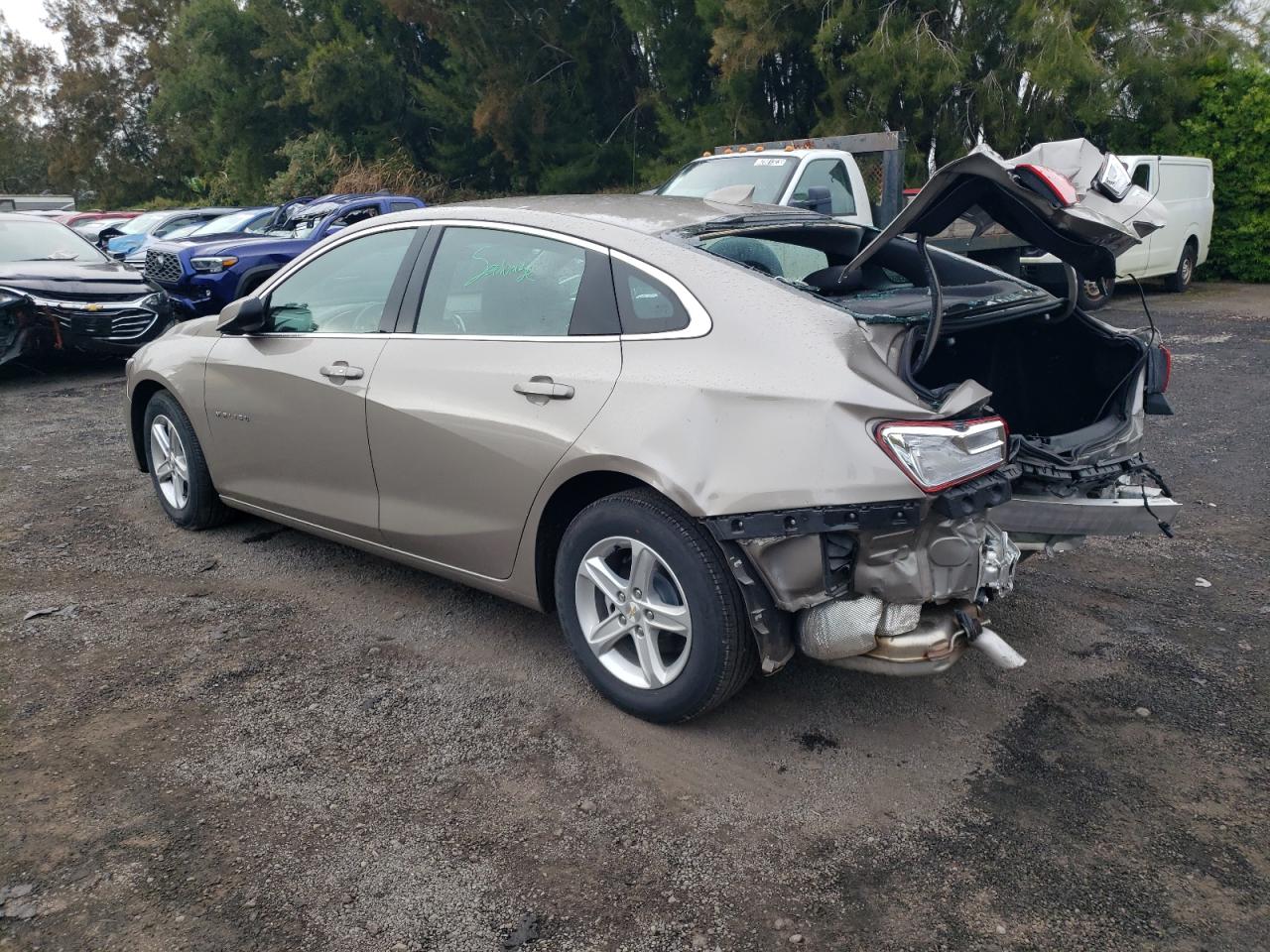 2024 CHEVROLET MALIBU LT VIN:1G1ZD5ST4RF224018