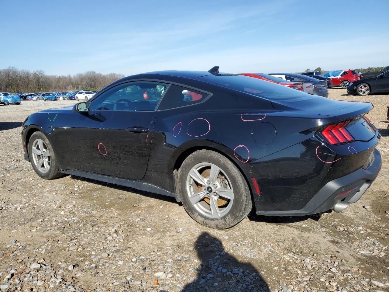 2024 FORD MUSTANG  VIN:1FA6P8TH9R5121556