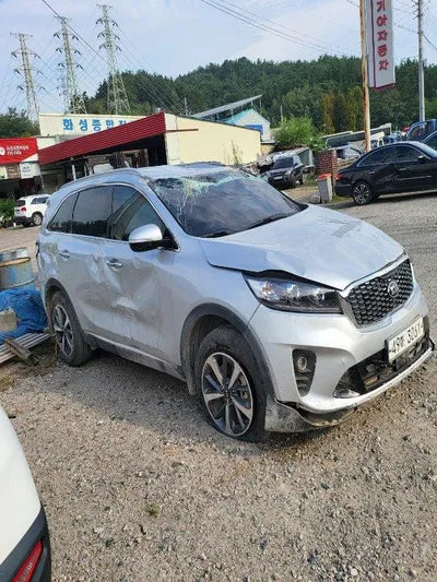 2019 Kia Sorento KNAPG81ADKA519065 VIN:KNAPG81ADKA519065