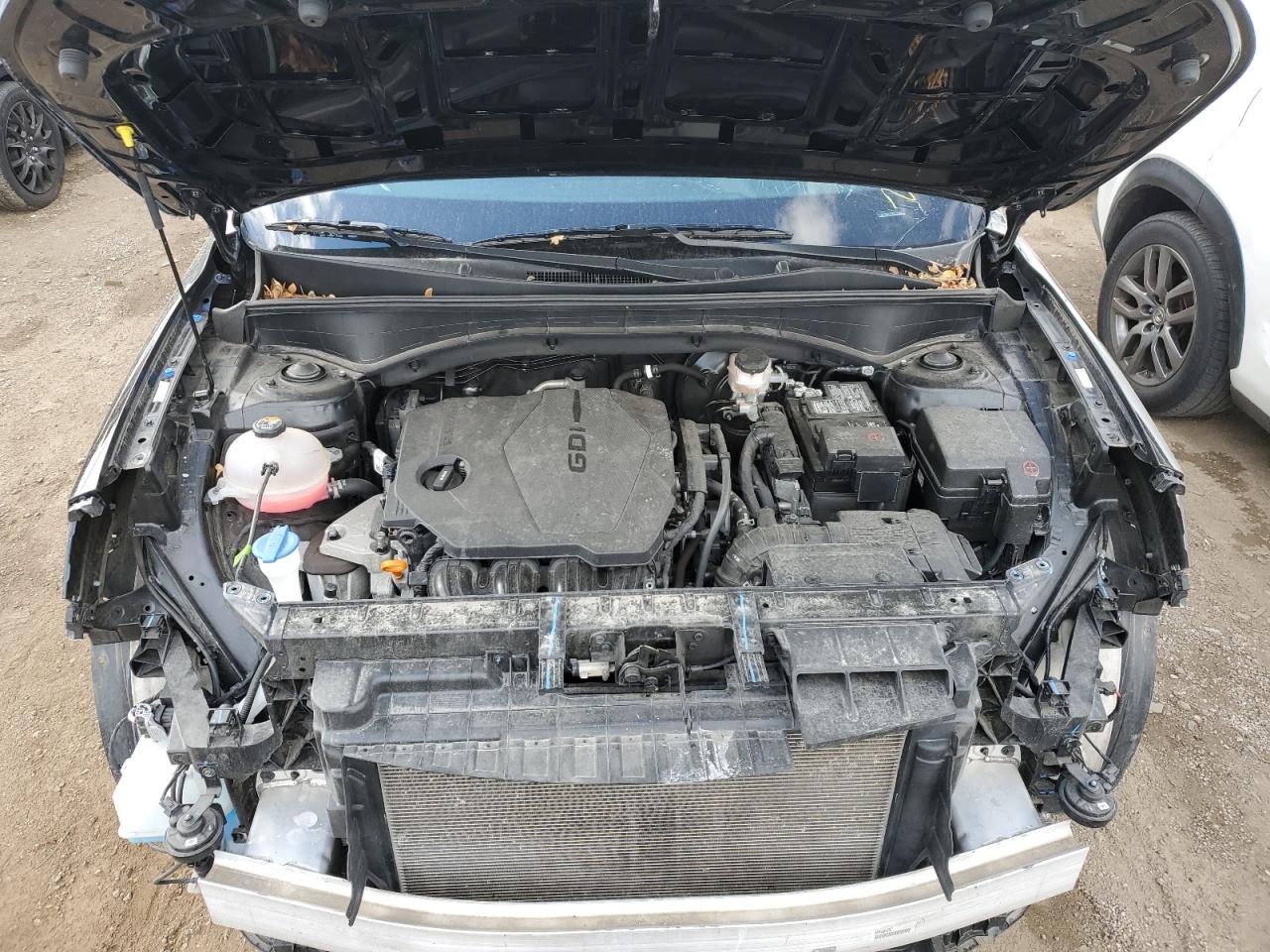 2022 KIA SORENTO LX VIN:5XYRG4LC0NG134184