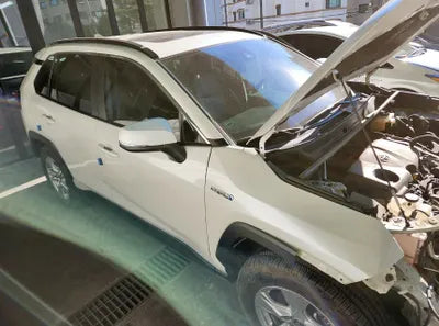 2019 Toyota RAV4 VIN: