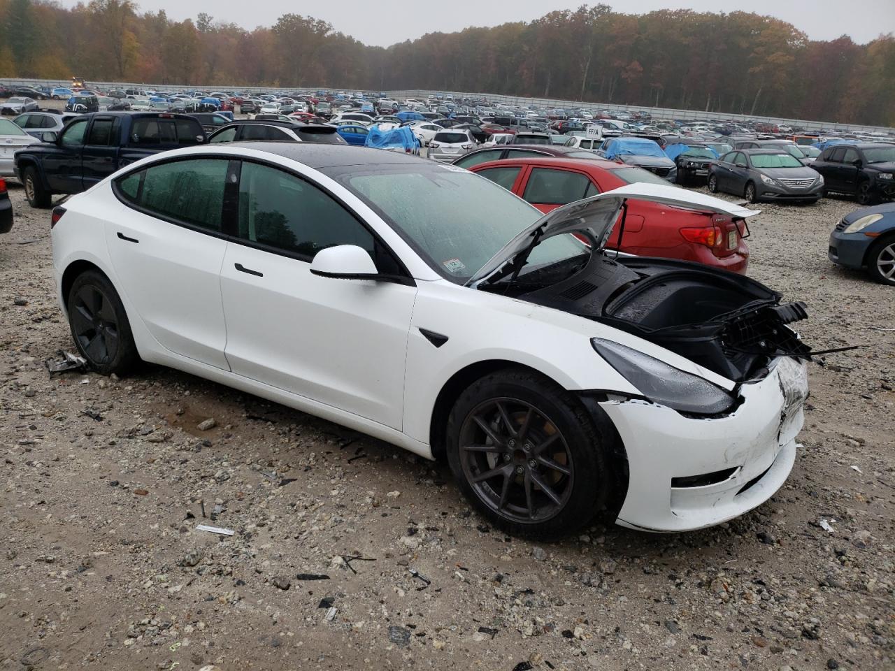 2023 TESLA MODEL 3  VIN:5YJ3E1EA9PF691451