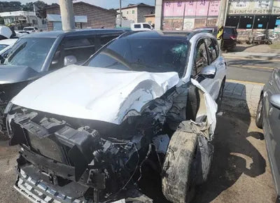 2019 Hyundai Santa FE KMHS581BDKU060270 VIN:KMHS581BDKU060270