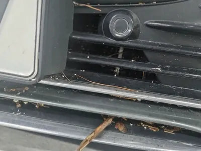 2022 Mercedes-Benz S 580 W1K6G7GB3NA105290 VIN:W1K6G7GB3NA105290