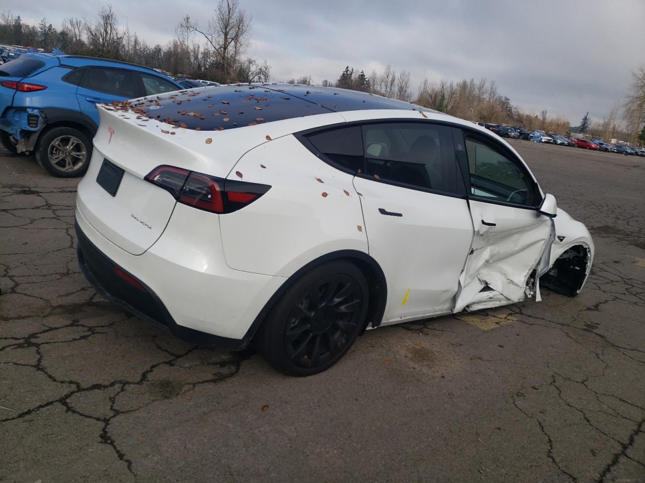 2024 TESLA MODEL Y  VIN:7SAYGAEE7RF077443