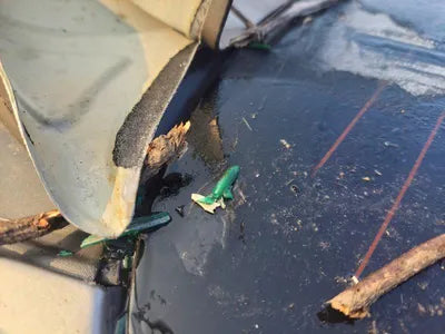 2019 Genesis G90 VIN: