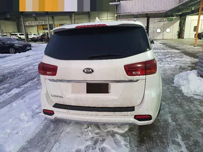 2019 Kia Carnival KNAME81ABKS487105 VIN:KNAME81ABKS487105