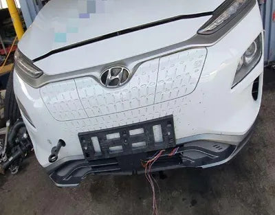 2019 Hyundai Kona KMHK281GFLU065780 VIN:KMHK281GFLU065780