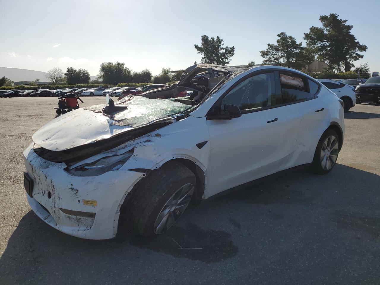 2022 TESLA MODEL Y  VIN:7SAYGDEE5NF437045