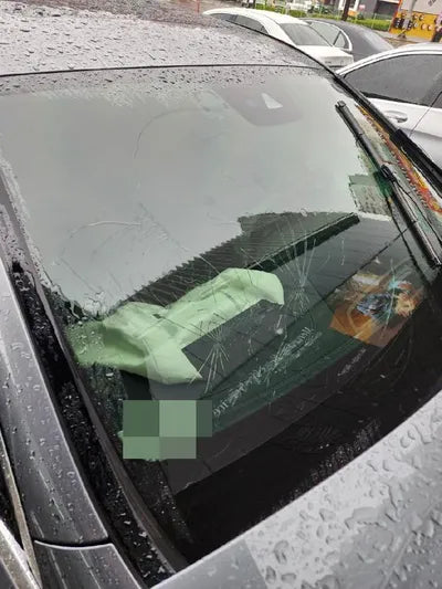 2019 Mercedes-Benz E 220 WDDZF0EB8KA618055 VIN:WDDZF0EB8KA618055