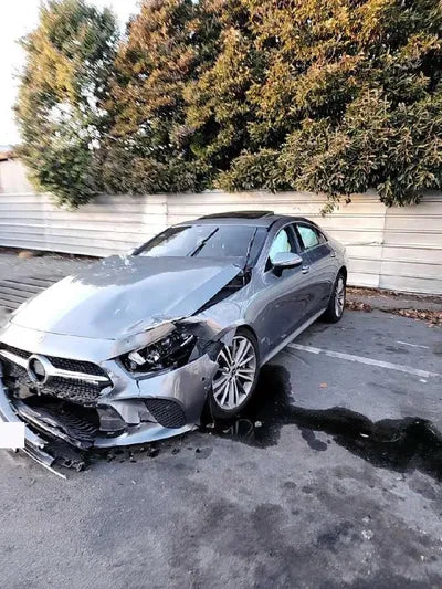 2019 Mercedes-Benz CLS 400 WDD2J2DB6KA010421 VIN:WDD2J2DB6KA010421