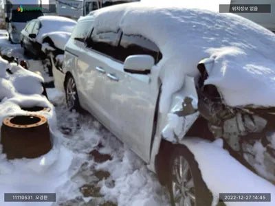 2019 Kia Carnival KNAMB81ABKS542155 VIN:KNAMB81ABKS542155