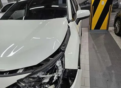 2019 Toyota RAV4 VIN: