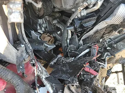 2020 Hyundai Kona KMHK381EGLU034788 VIN:KMHK381EGLU034788