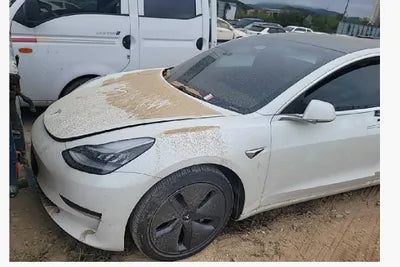 2020 Tesla Model 3 5YJ3E1EAXLF694398 VIN:5YJ3E1EAXLF694398