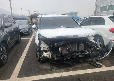 2021 Kia Carnival KNANE81BBMS033456 VIN:KNANE81BBMS033456