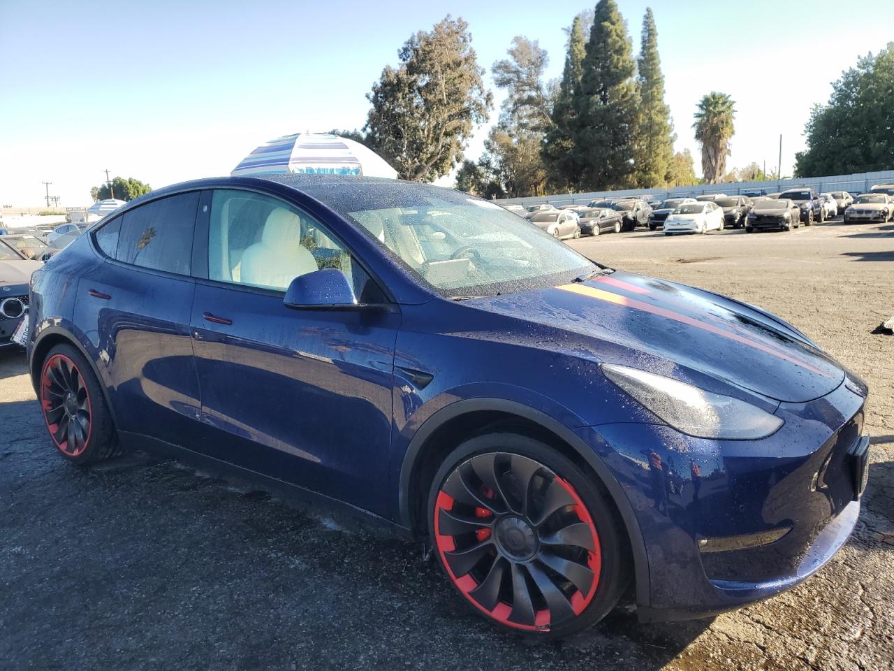 2022 TESLA MODEL Y  VIN:7SAYGDEF5NF551510