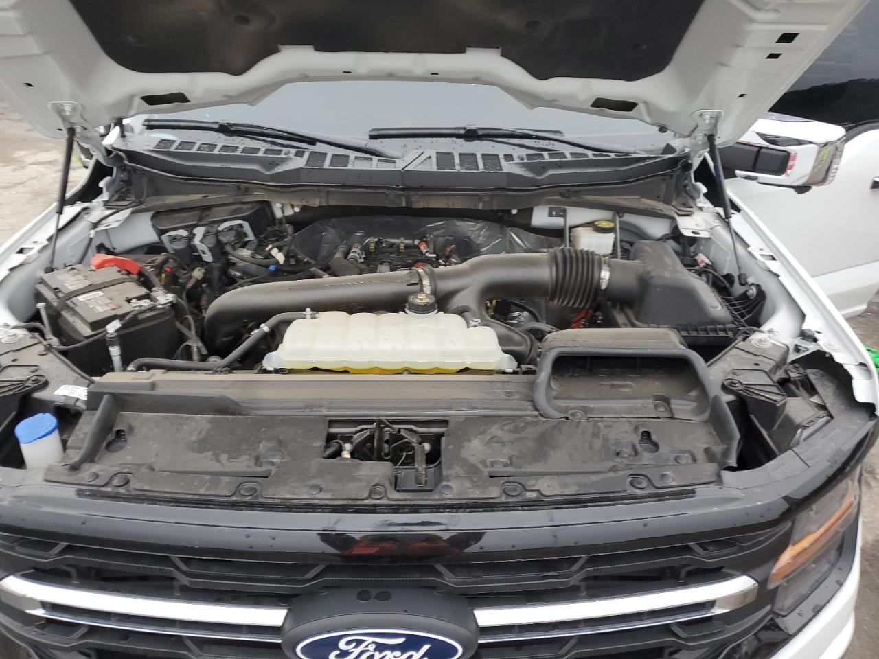 2024 FORD F150 XLT VIN:1FTFW3L83RKD08857
