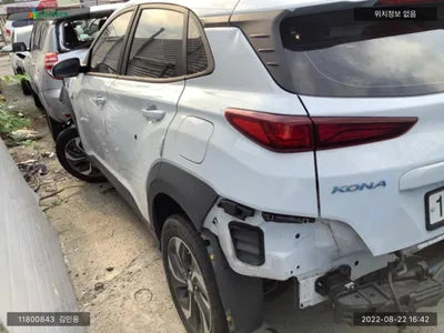 2020 Hyundai Kona KMHK381EGLU028679 VIN:KMHK381EGLU028679