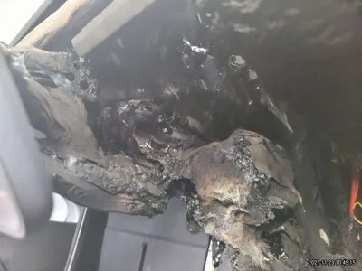2020 Tesla Model 3 5YJ3E1EA5LF756516 VIN:5YJ3E1EA5LF756516