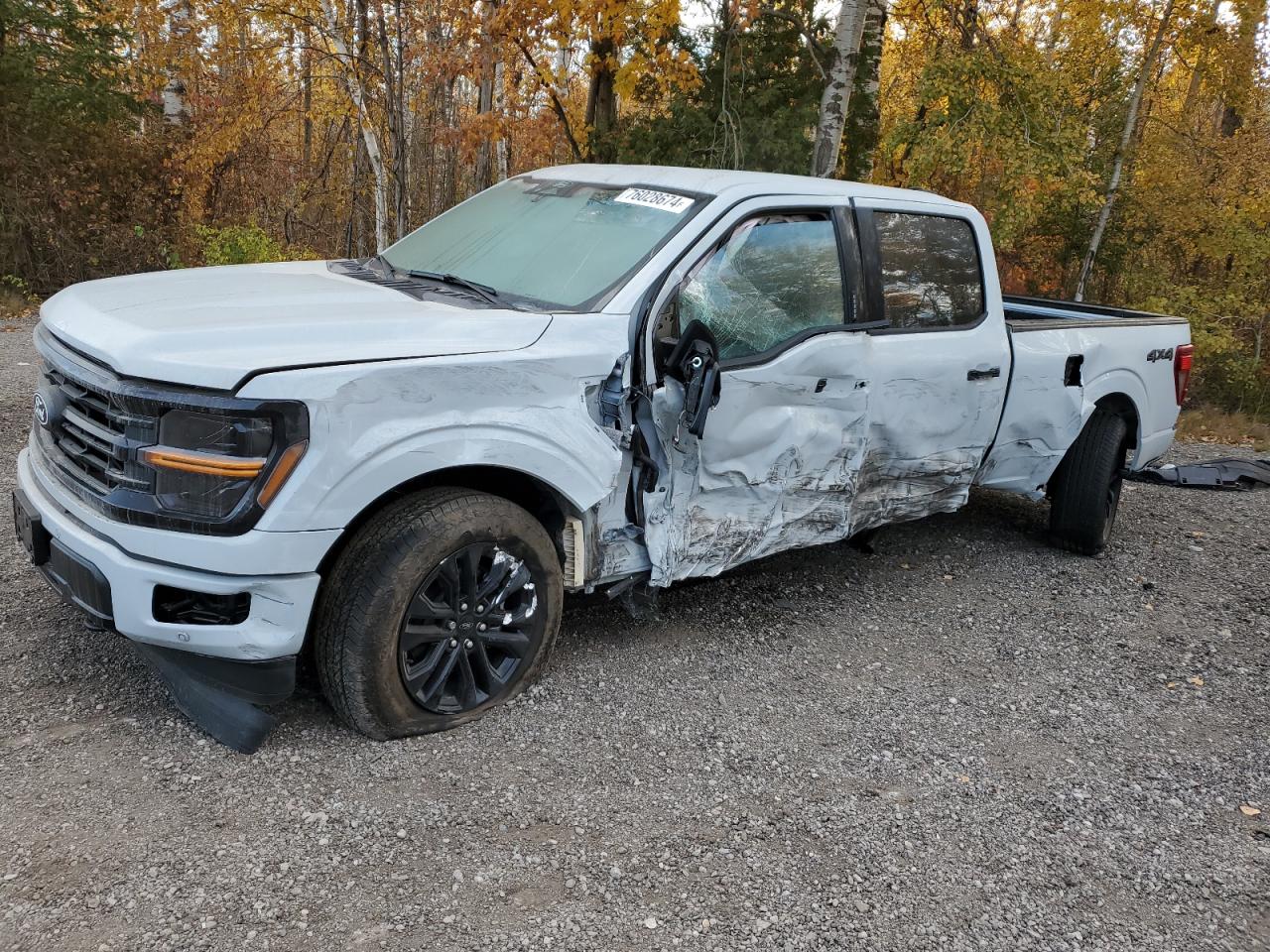 2024 FORD F150 XLT VIN:1FTFW3L82RFB46048