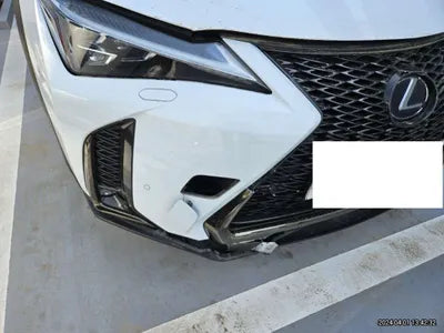 2020 Lexus UX 250 JTHR6JBH5L2068428 VIN:JTHR6JBH5L2068428