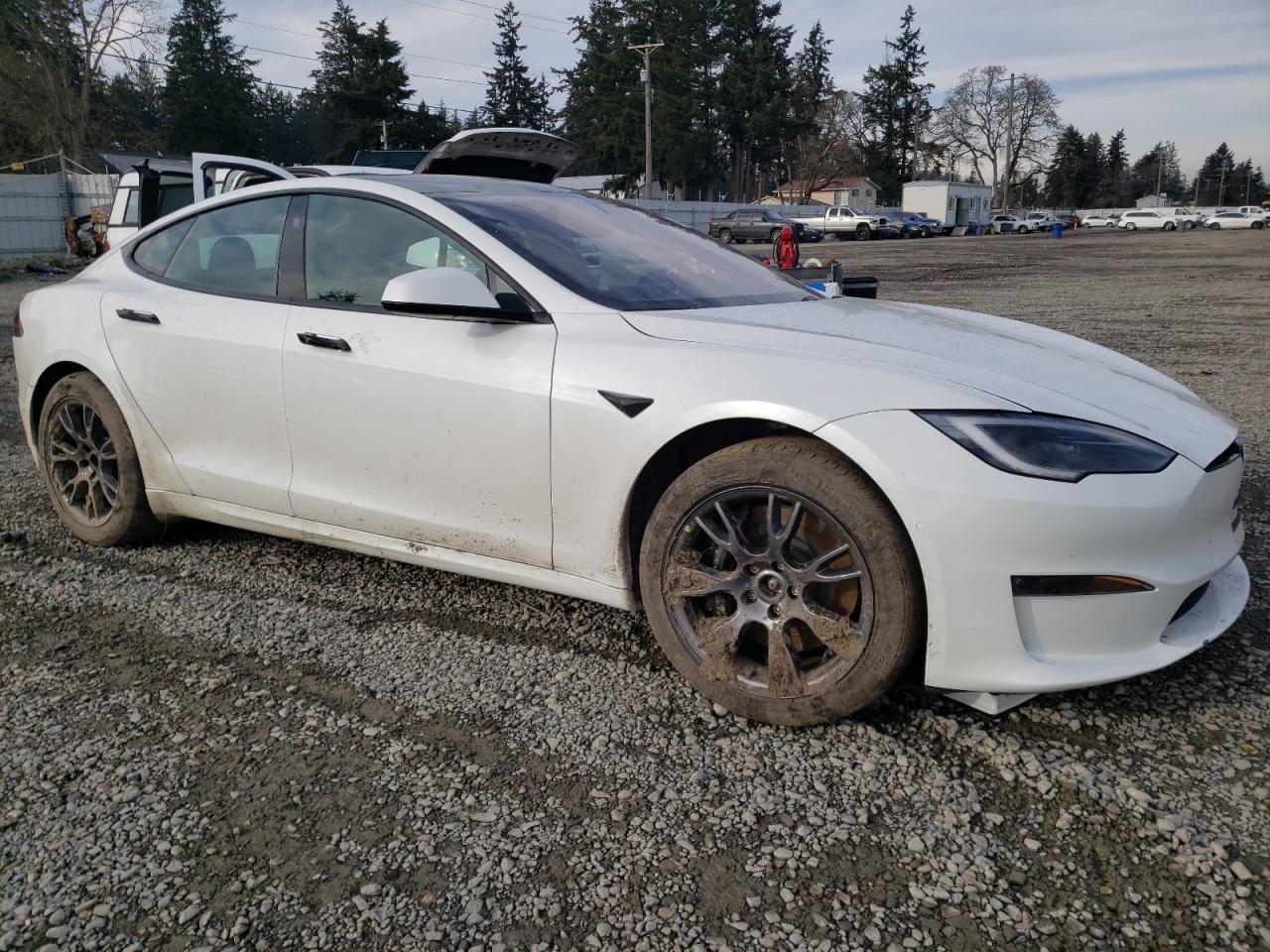 2023 TESLA MODEL S  VIN:5YJSA1E53PF500259