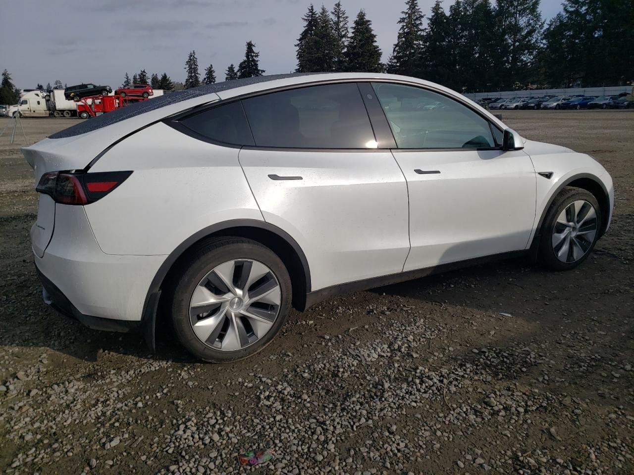 2023 TESLA MODEL Y  VIN:7SAYGDEE9PF623156