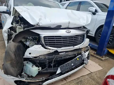 2017 Kia Carnival KNAMB81ABHS247253 VIN:KNAMB81ABHS247253