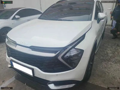 2022 Kia Sportage KNAPW81GBNK007650 VIN:KNAPW81GBNK007650