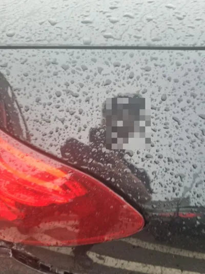 2017 Mercedes-Benz E 220 VIN: