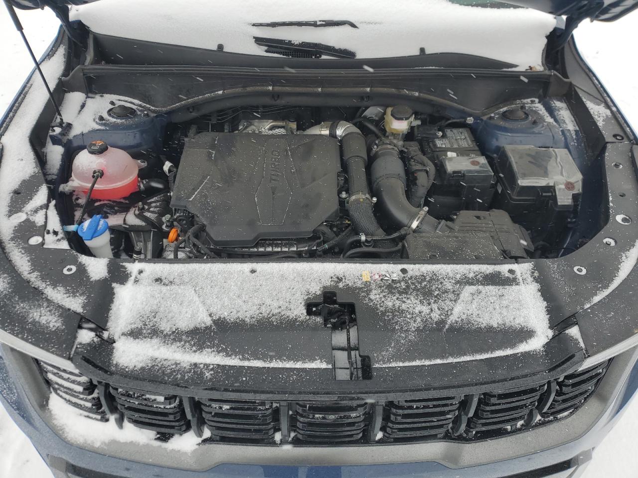 2024 KIA SORENTO SX VIN:5XYRKDJF8RG293407