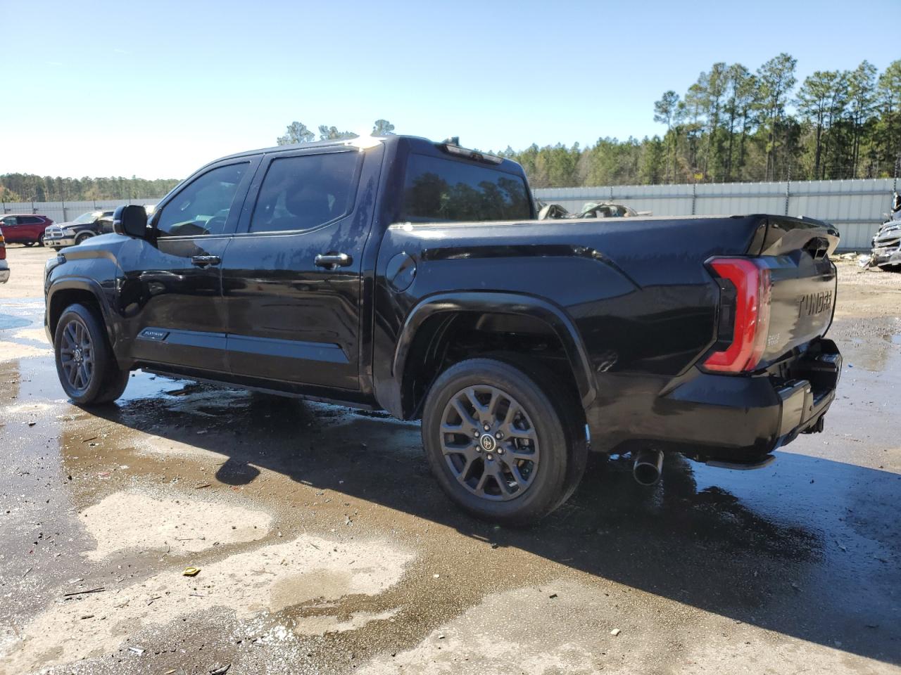 2023 TOYOTA TUNDRA CREWMAX PLATINUM VIN:5TFNA5AB3PX019675