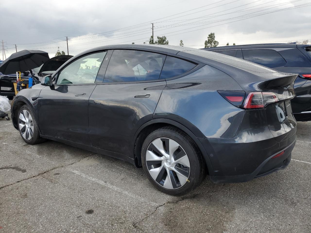 2024 TESLA MODEL Y  VIN:7SAYGDED1RF052031