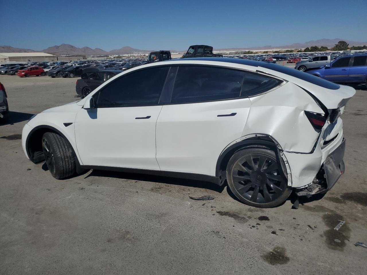 2023 TESLA MODEL Y  VIN:7SAYGDEEXPF617558