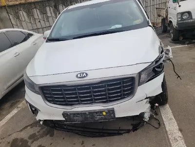 2019 Kia Carnival KNAMB81ABKS592317 VIN:KNAMB81ABKS592317
