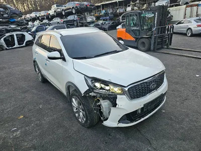 2019 Kia Sorento KNAPS81ABKA475415 VIN:KNAPS81ABKA475415