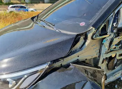 2019 Kia Carnival KNAMC81ABKS559805 VIN:KNAMC81ABKS559805