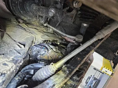 2020 Toyota RAV4 VIN: