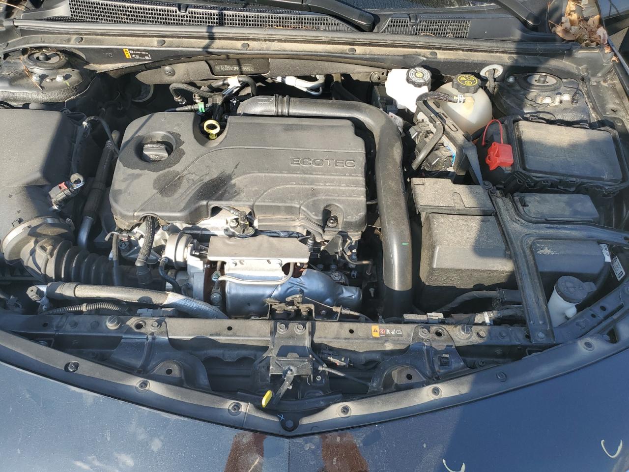 2023 CHEVROLET MALIBU LT VIN:1G1ZD5ST2PF113559