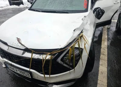 2023 Kia Sportage KNAPV81BHPK111246 VIN:KNAPV81BHPK111246