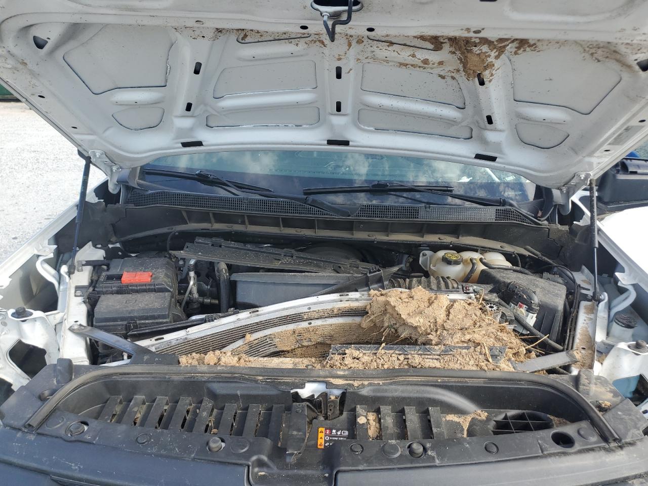 2024 CHEVROLET SILVERADO K1500 VIN:1GCRDAED7RZ101915