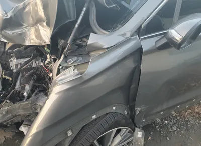 2020 Hyundai Santa FE KMKMHS281BBLU2313 VIN:KMKMHS281BBLU2313