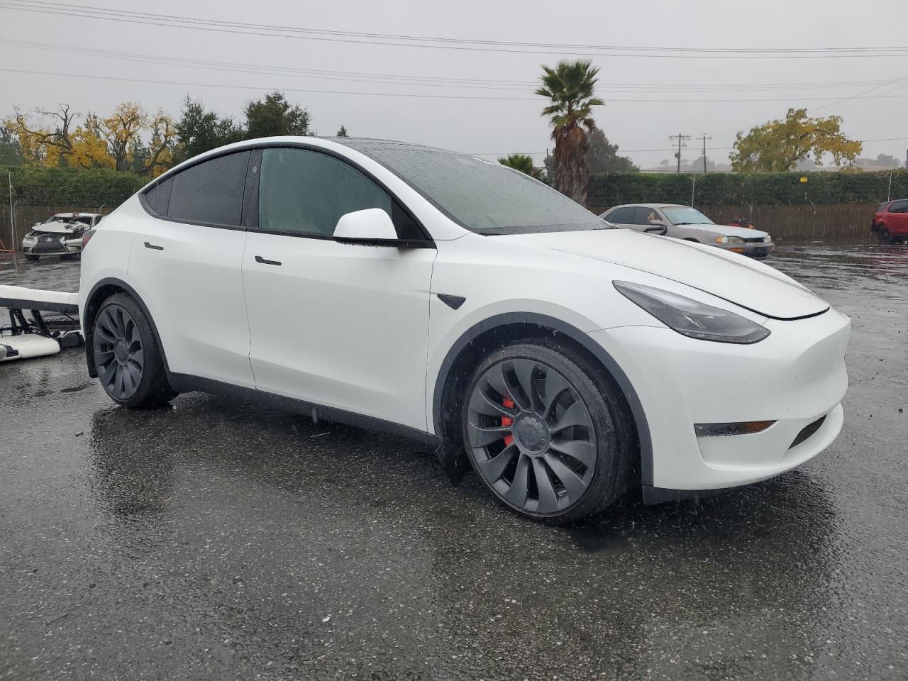 2024 TESLA MODEL Y  VIN:7SAYGDEF9RF094562