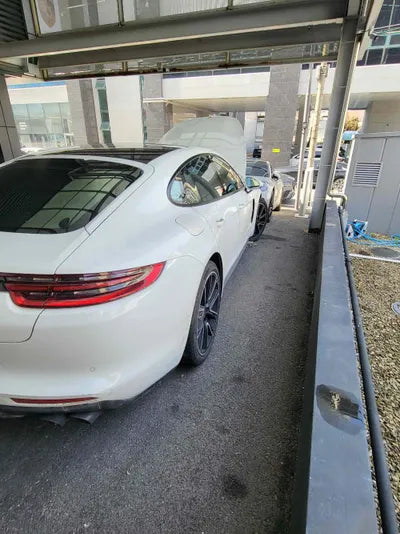 2020 Porsche Panamera WP0AA2973LL102389 VIN:WP0AA2973LL102389